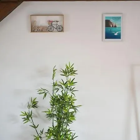 L'ecrin Marin - Étretat